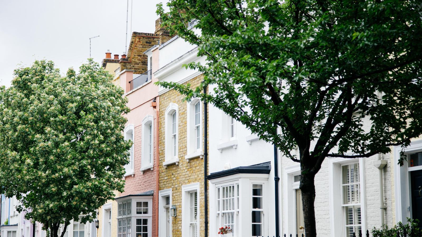 A Chelsea terrace of white-painted, pink and yellow-brick houses with bay windows and iron railings, behind flowering street trees.