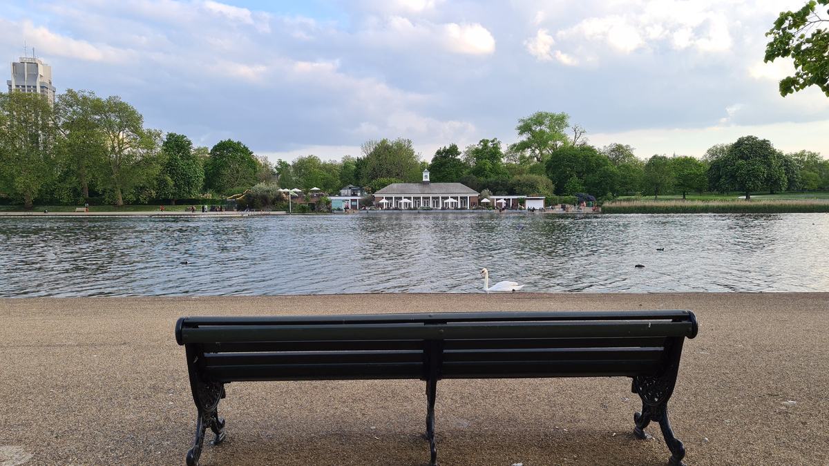 A bench looking across the Serpentine in Hyde Park towards the lakeside café, with a swan on the water.